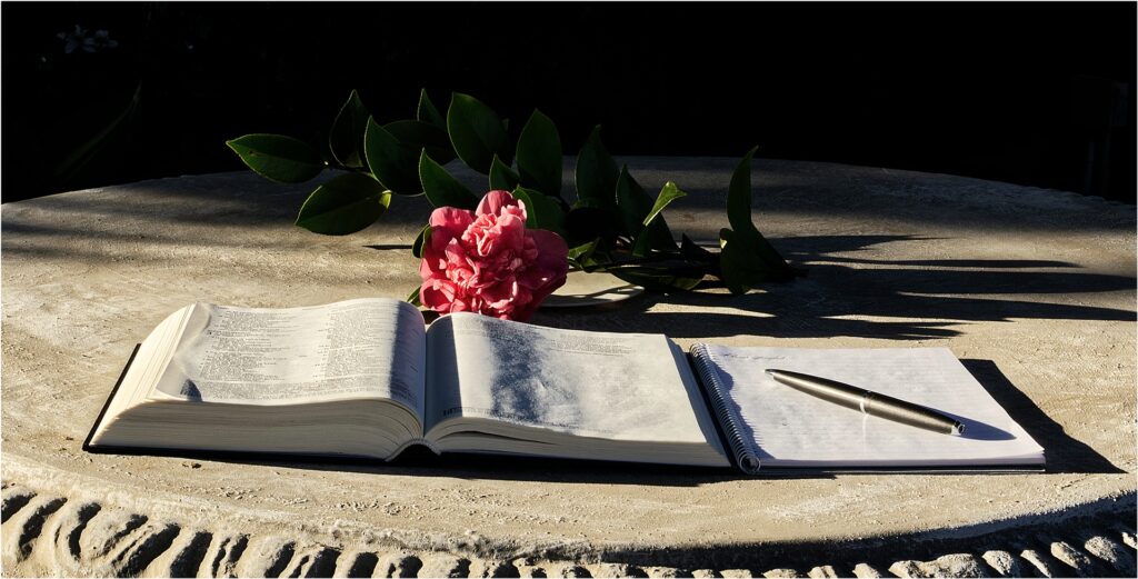 Bybel studie in die tuin